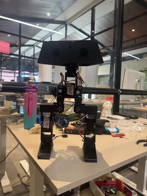 the duck-like biped prototype. it stares back.